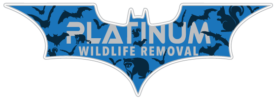 Animal Removal Fulton County