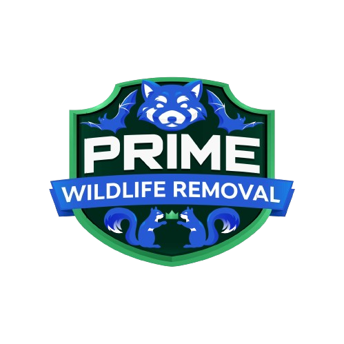Animal Removal Fulton County